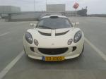 Bullyho Lotus