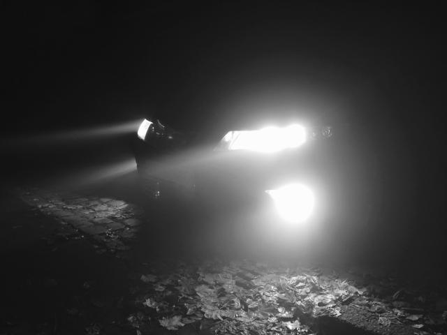 Mlha na podzim večer